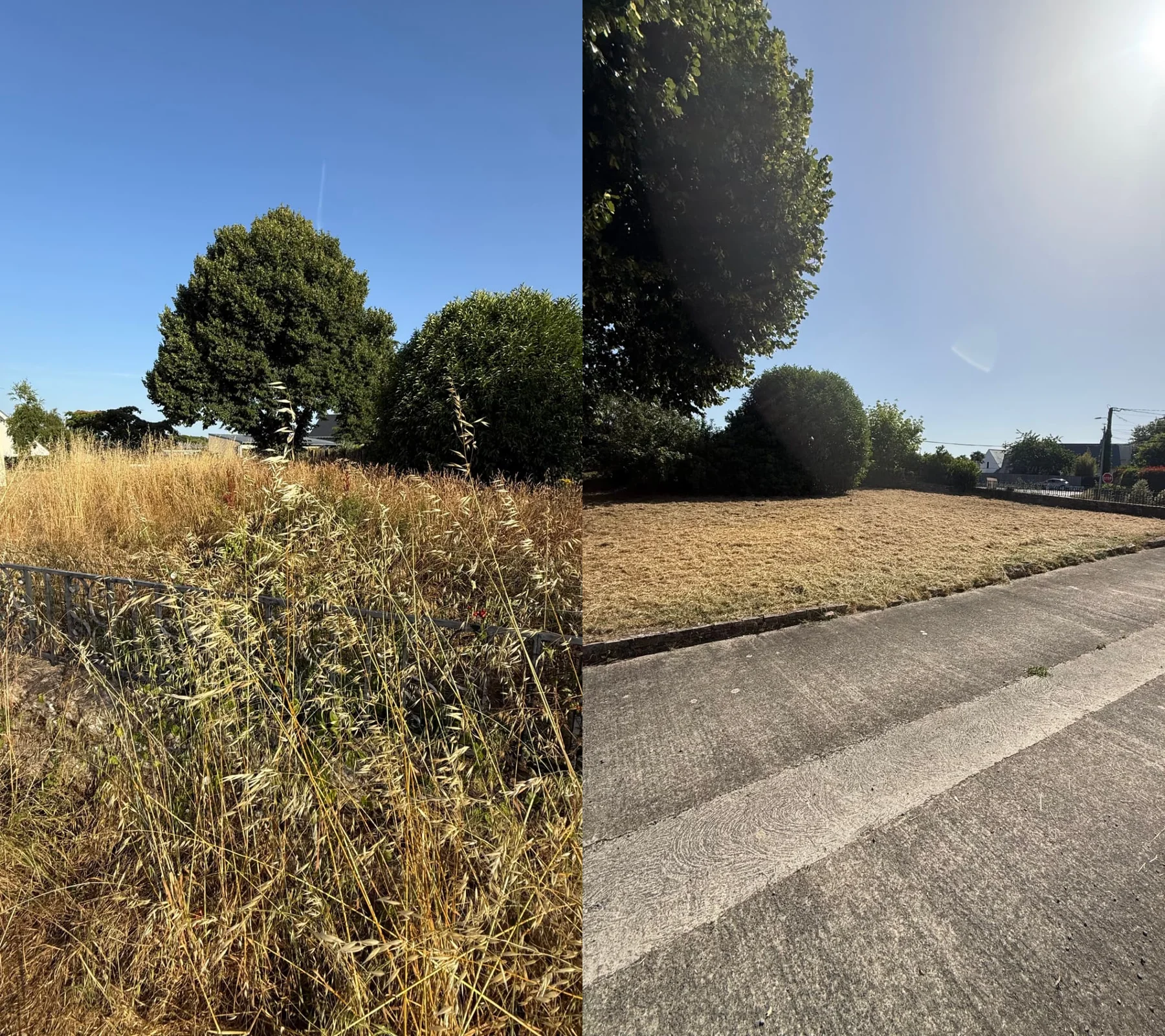 Remise en état d'un terrain envahi par les herbes hautes — avant et après LC Garden — avant