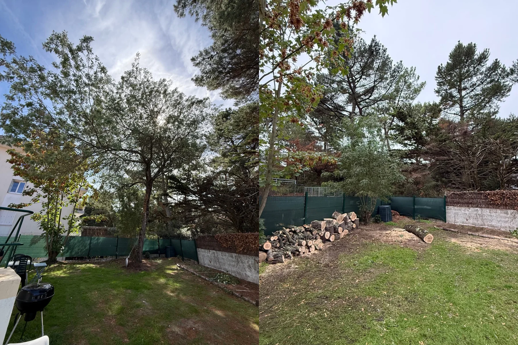 Abattage d'un arbre dans un jardin — avant et après l'intervention de LC Garden — avant
