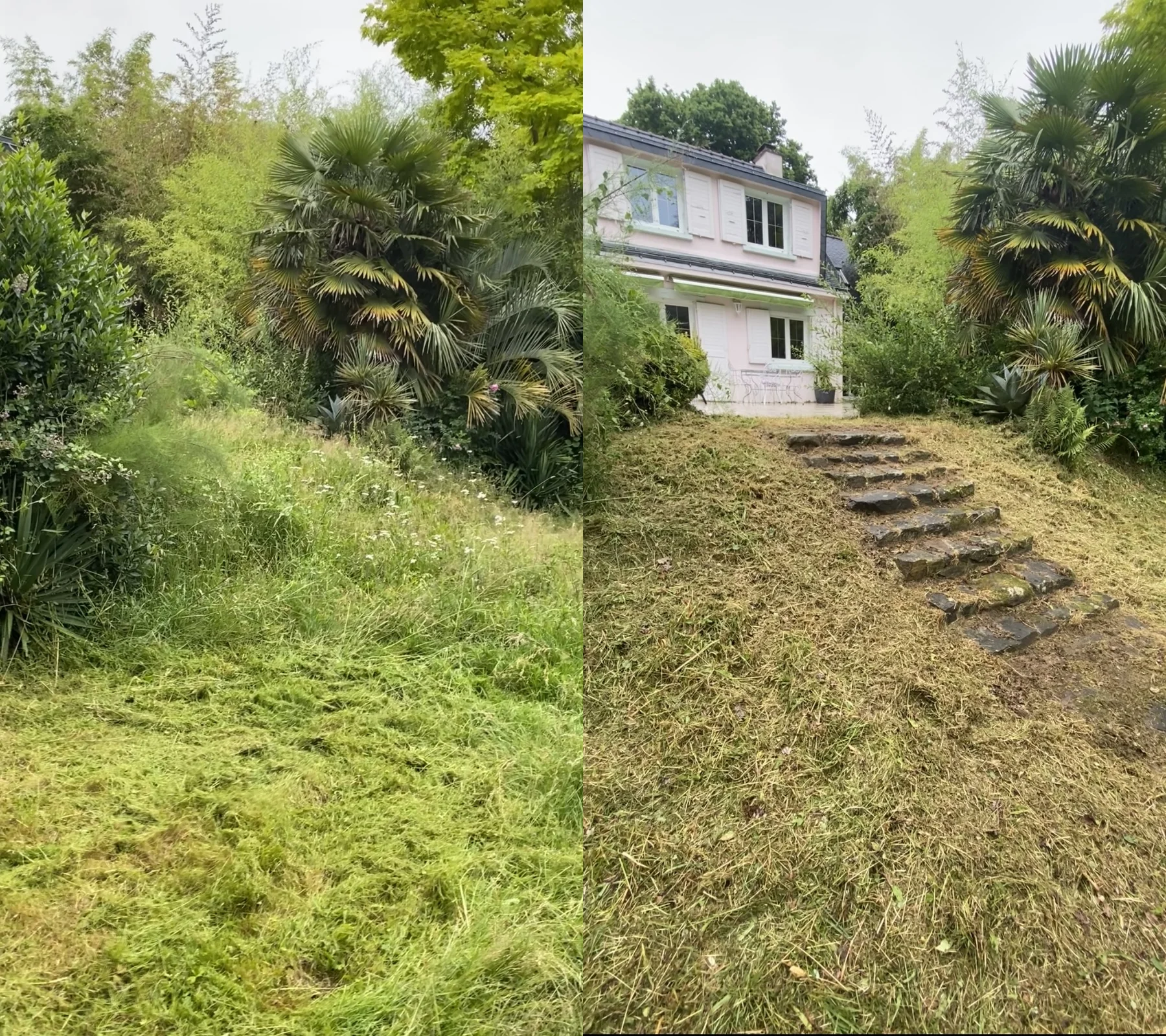 Débroussaillage du jardin et dégagement de l'escalier devant une maison — avant et après LC Garden — avant