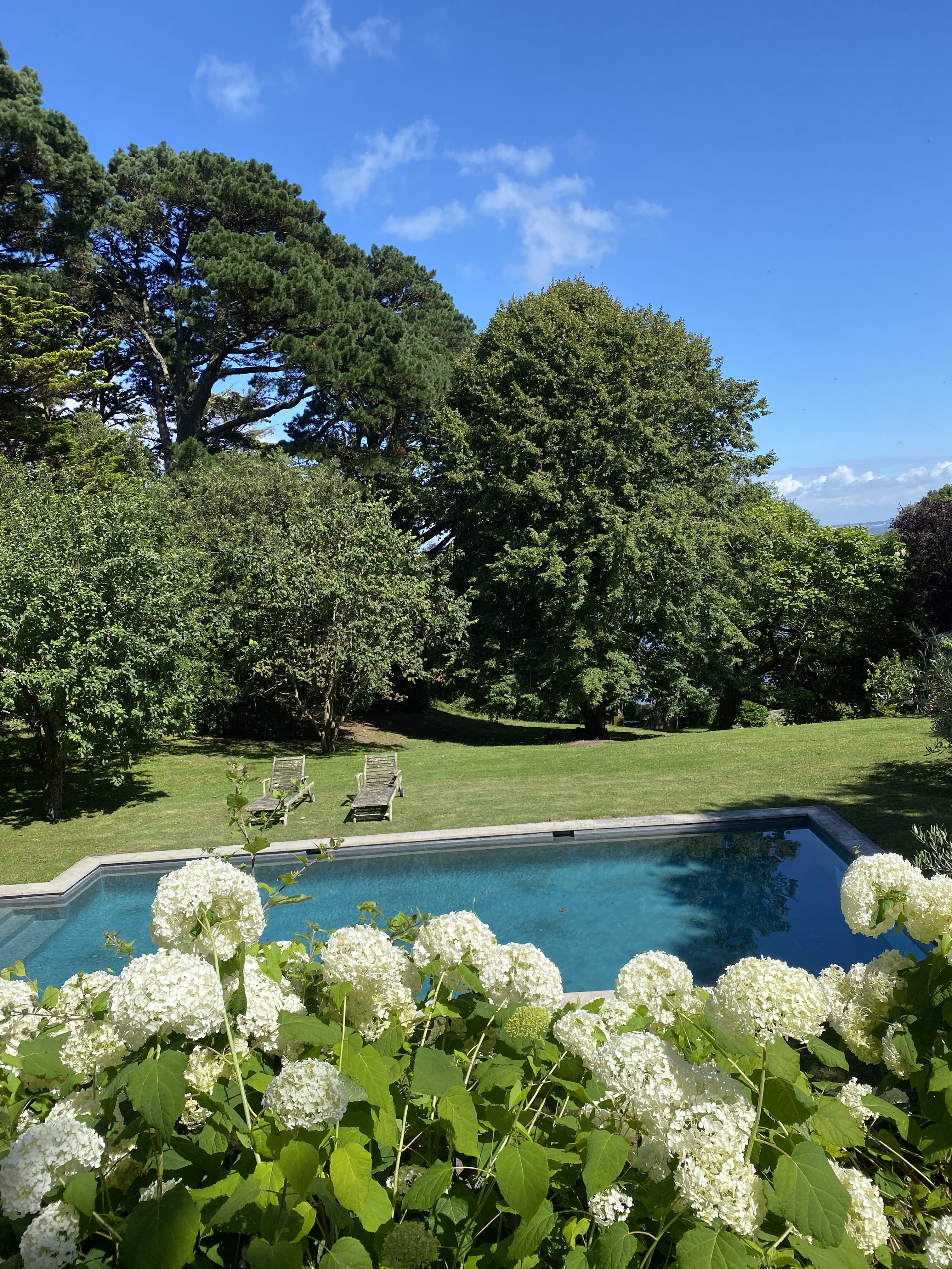 Entretien de jardin — réalisation 1